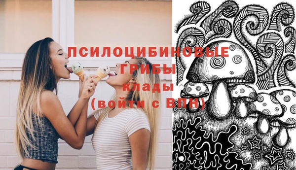 круглые Надым