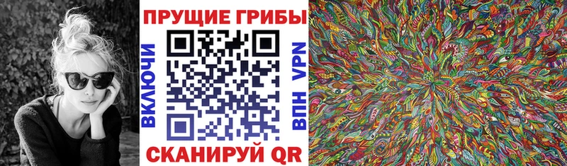 как найти закладки  Троицк  Псилоцибиновые грибы прущие грибы 