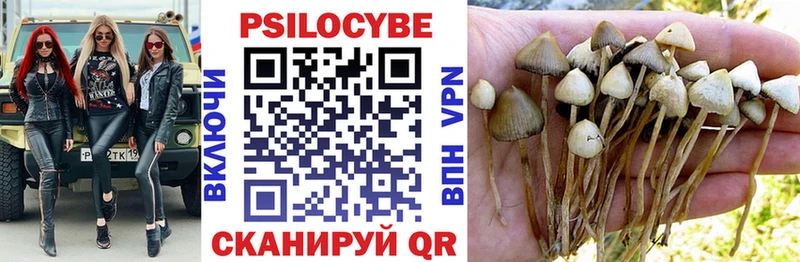 Псилоцибиновые грибы MAGIC MUSHROOMS Троицк
