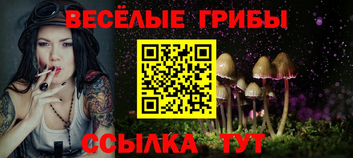 Троицк  Галлюциногенные грибы MAGIC MUSHROOMS  Вход с VPN 