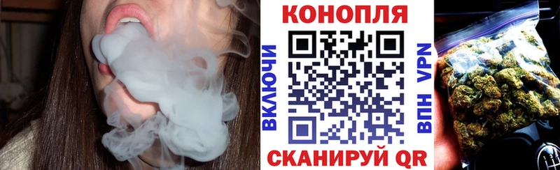 MEGA ONION  Троицк  Бошки Шишки ГИДРОПОН 